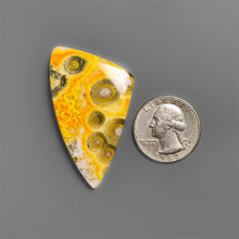 Bumble Bee Jasper Cabochon With Orbicular Pattern-5481 | Gemstone for sale | Gemstones by Lapidary Artist