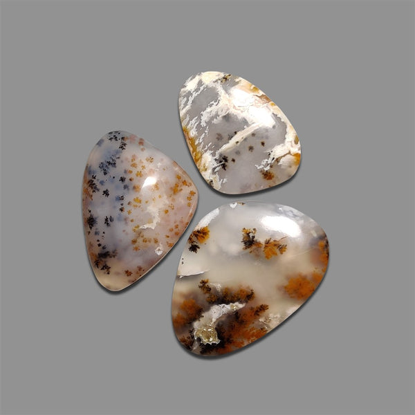 Russian-Dendritic-Agate-Cabochons-Lot-5068 | Gemstone for sale | Gemstones by Lapidary Artist