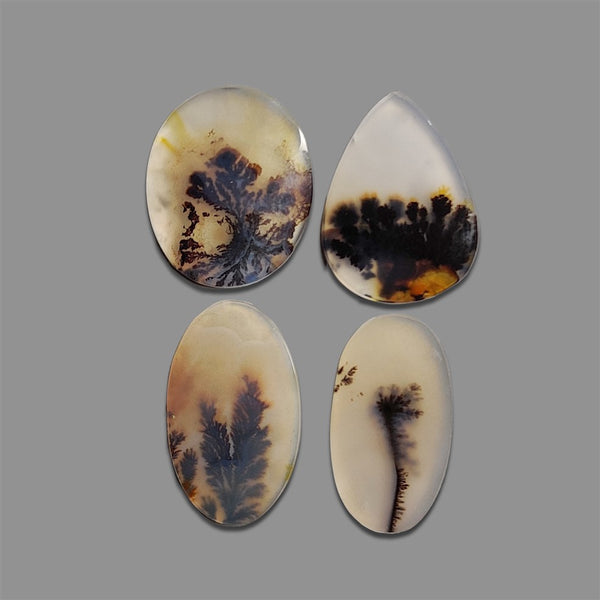 Scenic-Agate-Cabochons-Lot-5070 | Gemstone for sale | Gemstones by Lapidary Artist