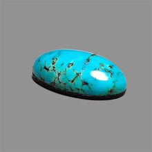 Mexican Turquoise Cabochon (Backed)