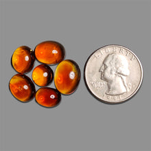 Brandy Citrine Cabochons Lot
