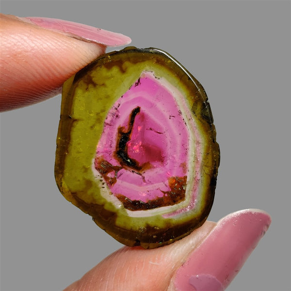 Rare-Watermelon-Tourmaline-Slice-5089 | Gemstone for sale | Gemstones by Lapidary Artist