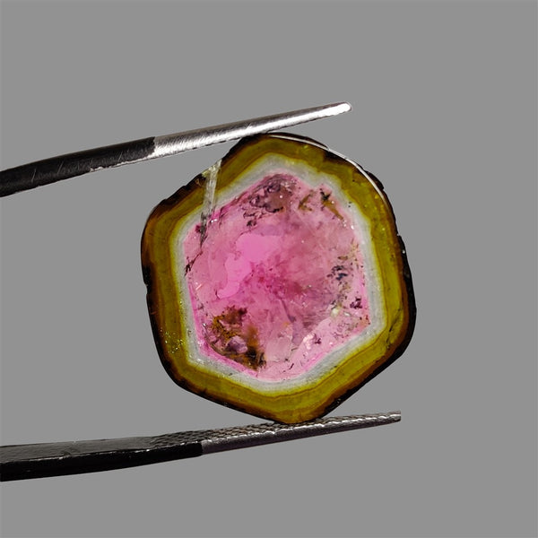 Rare-Watermelon-Tourmaline-Slice-5090 | Gemstone for sale | Gemstones by Lapidary Artist