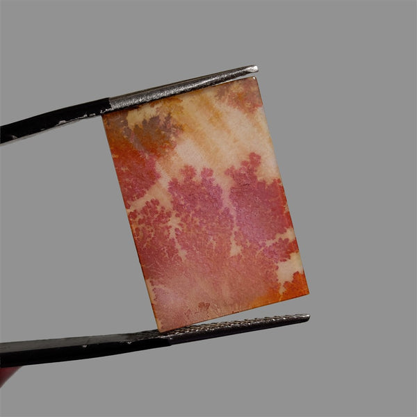 Scenic-Agate-Cabochon-5093 | Gemstone for sale | Gemstones by Lapidary Artist