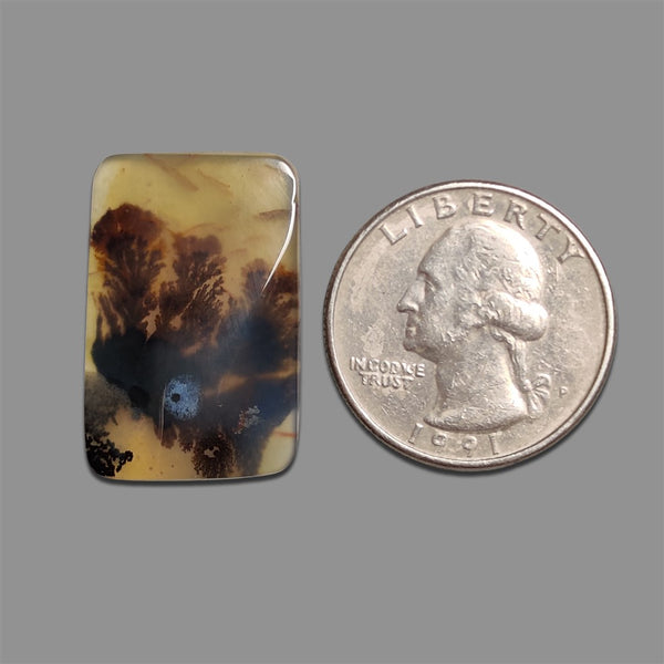 Gemstone for sale, Buy gemstone online by the Lapidary Artist
