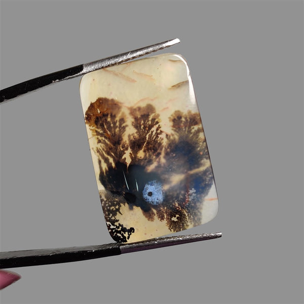 Scenic-Agate-Cabochon-5094 | Gemstone for sale | Gemstones by Lapidary Artist