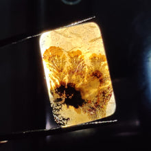 Scenic Agate Cabochon