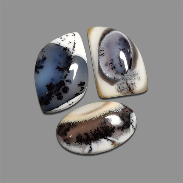 Dendritic-Agate-Cabochons-Lot-5121 | Gemstone for sale | Gemstones by Lapidary Artist