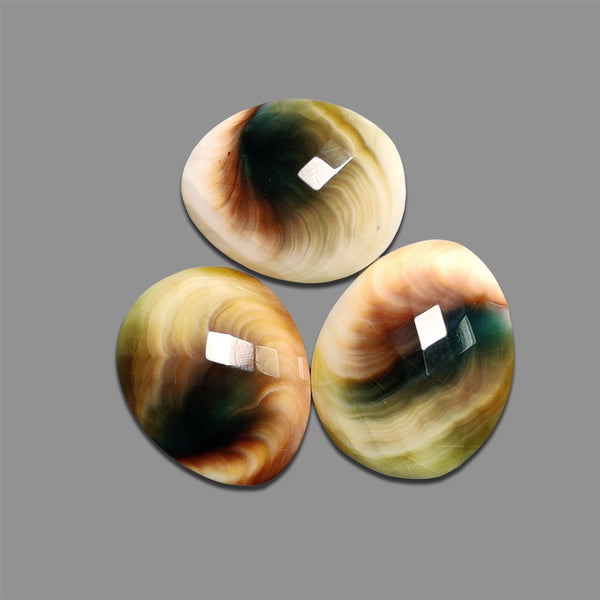 Checkerboard-Cut-Shiva-Eye-Shell-Lot-5125 | Gemstone for sale | Gemstones by Lapidary Artist