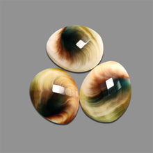 Checkerboard-Cut-Shiva-Eye-Shell-Lot-5125 | Gemstone for sale | Gemstones by Lapidary Artist