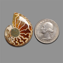 Gemstone for sale, Buy gemstone online by the Lapidary Artist