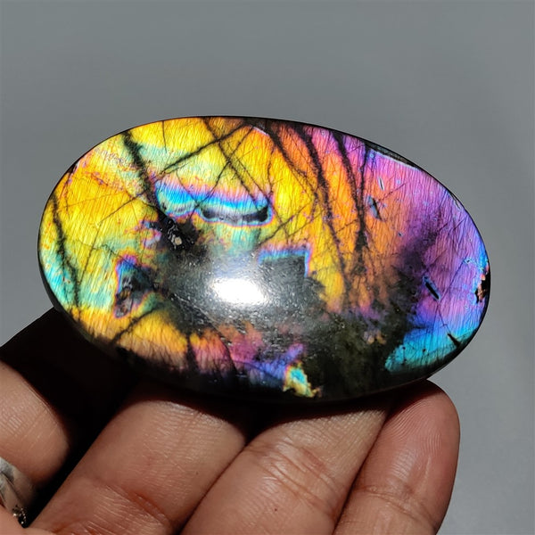 High Grade Multi-color Sheen Spectrolite Cabochon