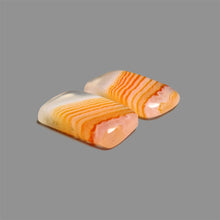 Lake Superior Agate Pair