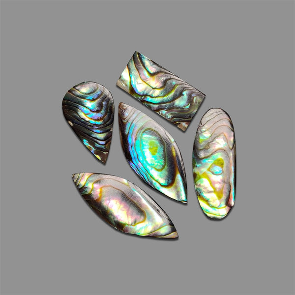 Abalone-Shell-Cabochons-Lot-5167 | Gemstone for sale | Gemstones by Lapidary Artist