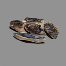 Abalone Shell Cabochons Lot
