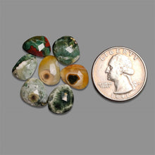 Rose Cut Orbicular Ocean Jasper Lot