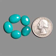 Hubei Turquoise Cabochons Lot