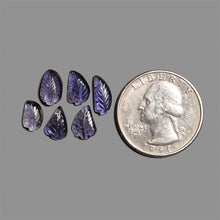 Handcarved Iolite Leaf Lot