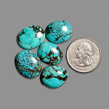 Hubei Turquoise Cabochons Lot