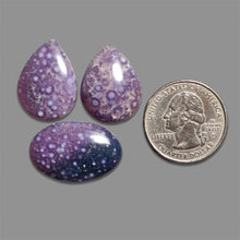 Grape Agate Cabochons Lot