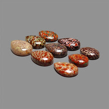 Dinosaur-Bone-Fossil-Bone-Cabochons-Lot-5218 | Gemstone for sale | Gemstones by Lapidary Artist