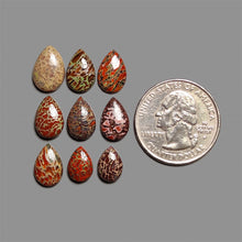 Dinosaur Bone Fossil Bone Cabochons Lot