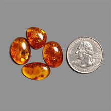 Baltic Amber Cabochons Lot