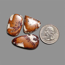 Native Copper Cabochons Lot