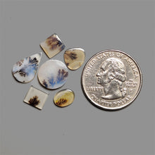 Scenic Agate Cabochons Lot