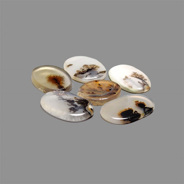 Scenic-Agate-Cabochons-Lot-5236 | Gemstone for sale | Gemstones by Lapidary Artist
