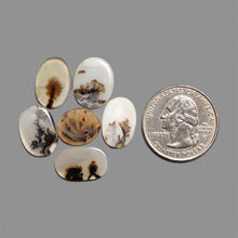 Scenic Agate Cabochons Lot