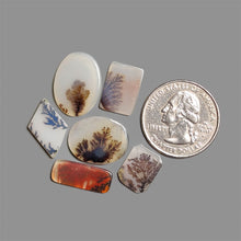 Scenic Agate Cabochons Lot