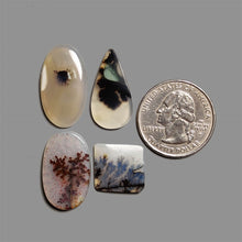 Scenic Agate Cabochons Lot