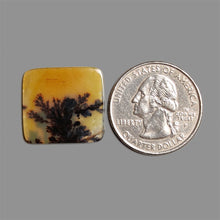 Scenic Agate Cabochon