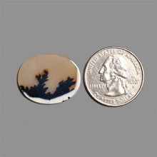 Scenic Agate Cabochon