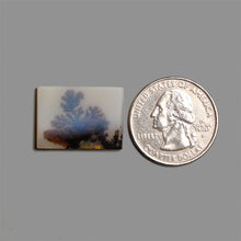Scenic Agate Cabochon