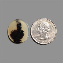 Scenic Agate Cabochon