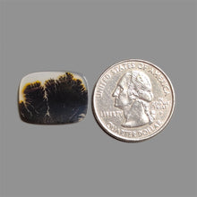 Scenic Agate Cabochon