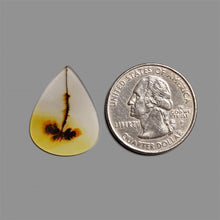Scenic Agate Cabochon