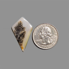Scenic Agate Cabochon