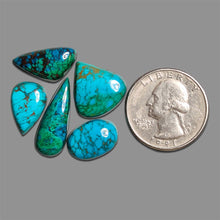 Peruvian Chrysocolla Cabochons Lot