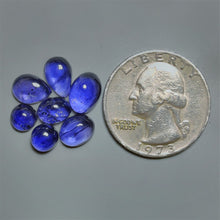 Gemmy Iolite Cabochon Smalls Lot