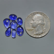 Gemmy Iolite Cabochon Smalls Lot