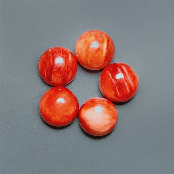 Spiny Oyster Shell Calibrated Cabochons Lot