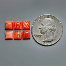 Spiny Oyster Shell Calibrated Cabochons Lot