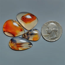 Montana Agate Cabochons Lot