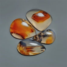 Montana Agate Cabochons Lot