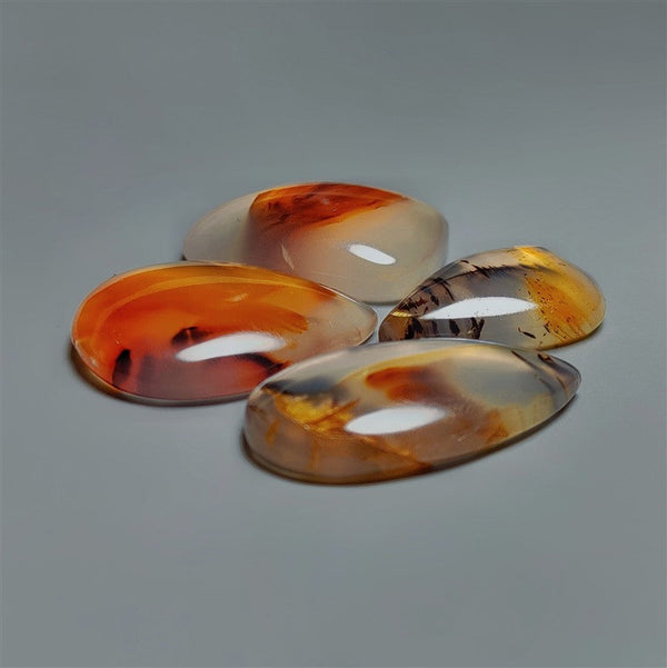 Montana Agate Cabochons Lot