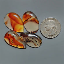 Montana Agate Cabochons Lot