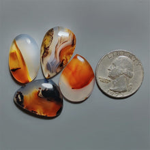Montana Agate Cabochons Lot